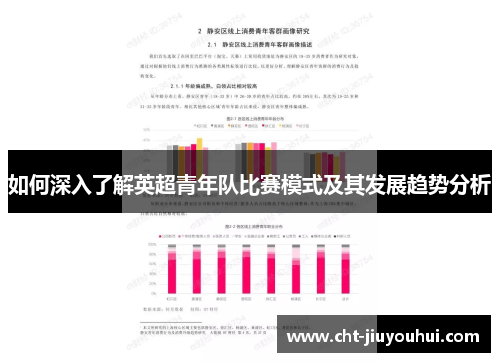 如何深入了解英超青年队比赛模式及其发展趋势分析