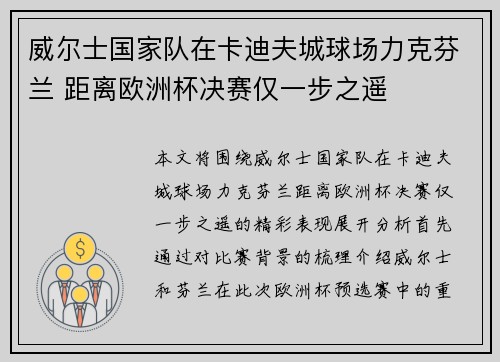 威尔士国家队在卡迪夫城球场力克芬兰 距离欧洲杯决赛仅一步之遥